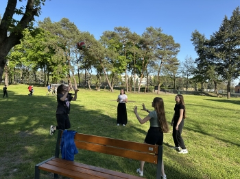 IMG_7386.jpeg