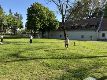 IMG_7387.jpeg