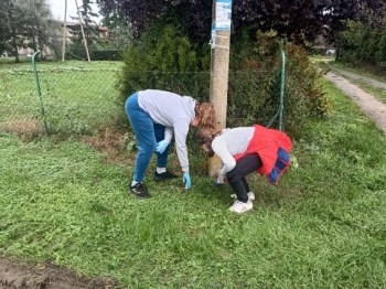 image000001.jpeg