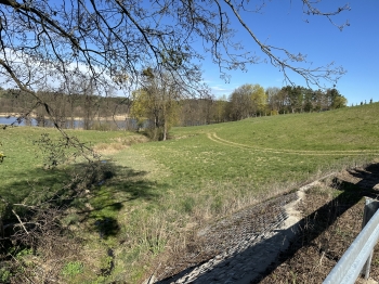 IMG_3215.jpeg