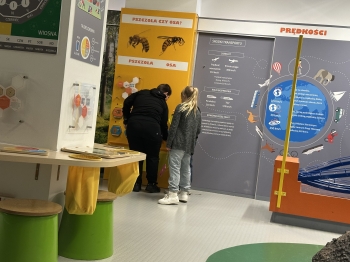 IMG_3519.jpeg