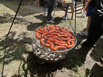IMG_4410.jpeg