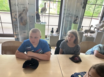 IMG_4956.jpeg