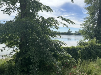 IMG_4977.jpeg