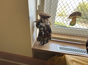 IMG_7027.jpeg