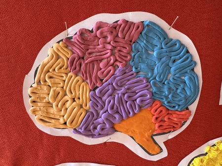 Tydzień Mózgu w naszej szkole